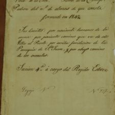 Padrón de habitantes de la Villa de La Orotava , 1842.